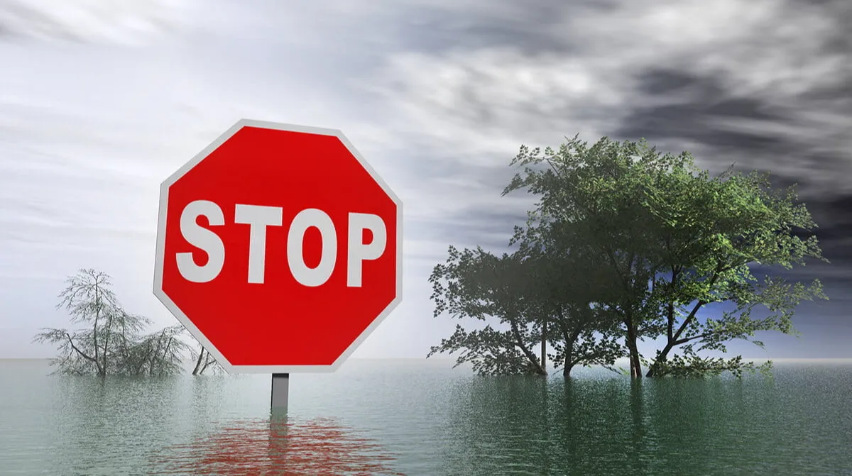 Understanding Medicare Special Enrollment Periods in Washington